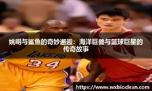 姚明与鲨鱼的奇妙邂逅：海洋巨兽与篮球巨星的传奇故事