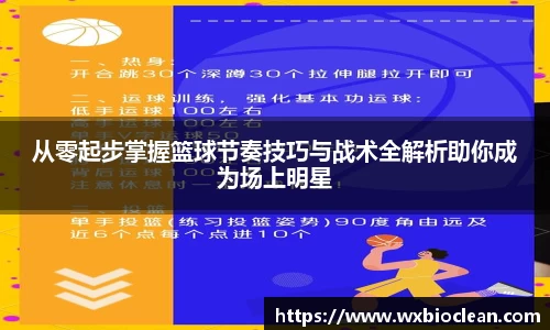 从零起步掌握篮球节奏技巧与战术全解析助你成为场上明星