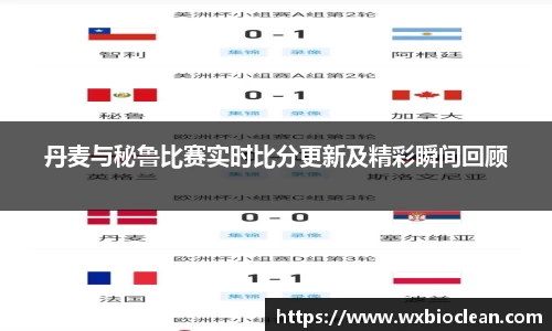 丹麦与秘鲁比赛实时比分更新及精彩瞬间回顾
